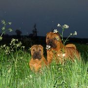 Tatuś & Córeczka