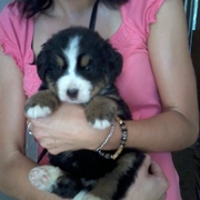 Daisy...jedzie do domu:)