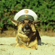 Uwaga!