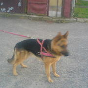 Czaki