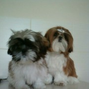 Teri i Axel