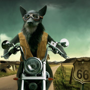 Motocyklista