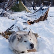 Obozowisko