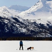 Skijoring