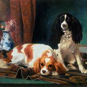 Cavaliery