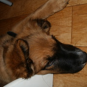 Maxiu
