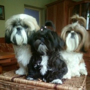 Axel,Gigi,Teri