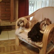 Axel,Gigi,Teri
