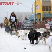 Iditarod 2013