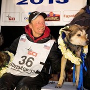 Mitch Seavey i jego psy