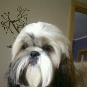 Axel:)