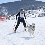 Skijoring