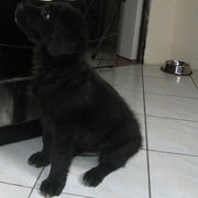 Diego