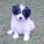 Lilly