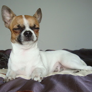 Wasco