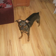 Nina :)