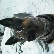 Nelka