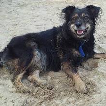 Kulka