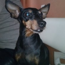 Aksa