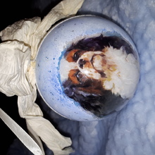 Bombka decoupage sprzedam z cavalierem