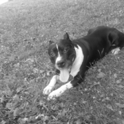 Baster