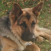 Aro