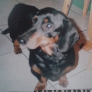 Agunia