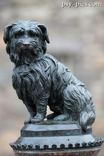 Greyfriars Bobby