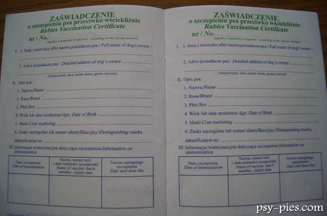 Książeczka dla psa przygotowana do podróży