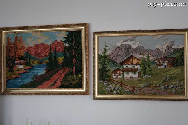 Rzeka w lesie