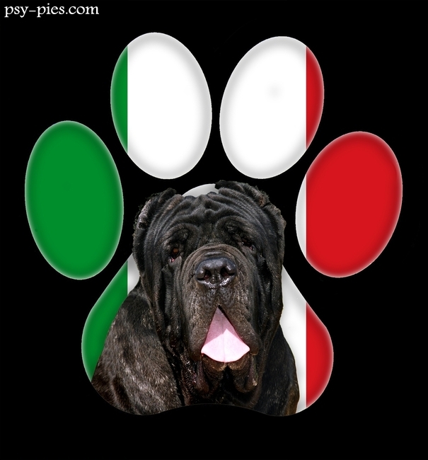 Dog niemiecki, rasa pochodząca z Niemiec