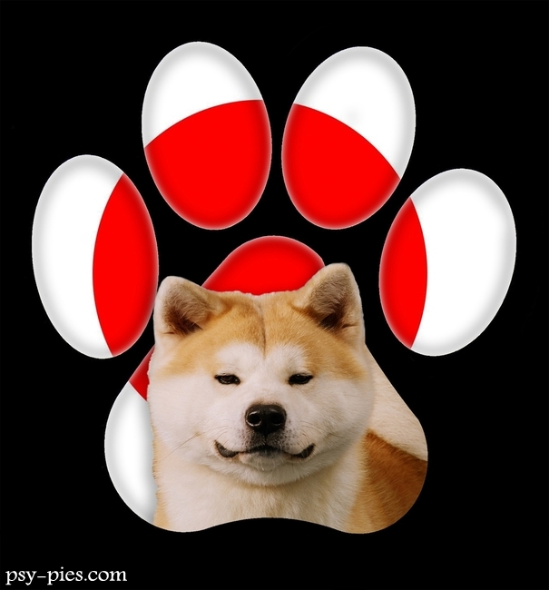 Akita