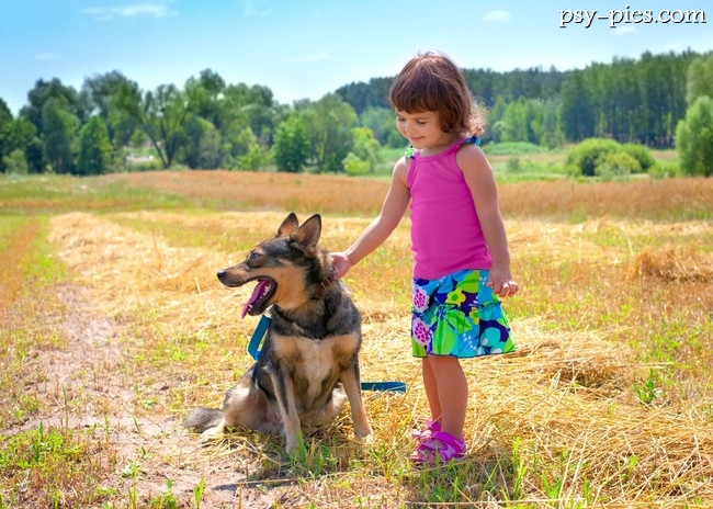 Dziecko karmi psa smakołykiem z otwartej dłoni pod nadzorem