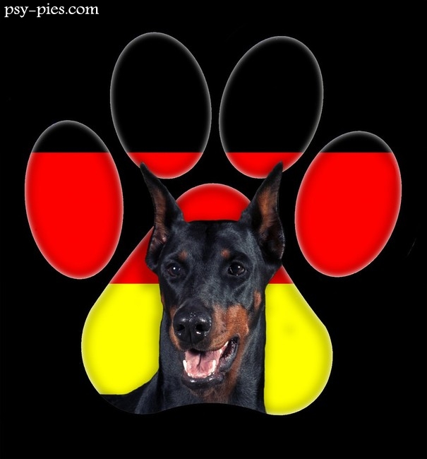 Doberman z Niemiec