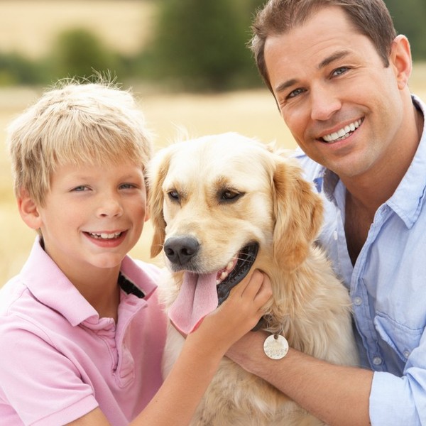 Goldeny Retrievery są w gruncie rzeczy podobne do Labradorów. Ich głównym atutem jest ekstremalna cierpliwość, dlatego p