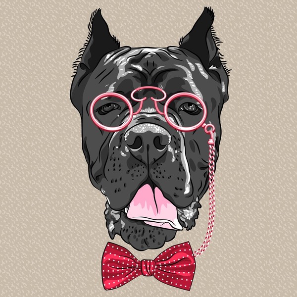 Pies hipster rasy Cane Corso w okularach i muszce.