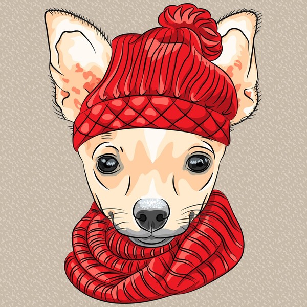 Pies rasy Chihuahua w kapeluszu i szaliku z czerwonej dzianiny.
