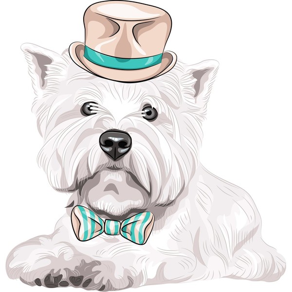 Portret psa rasy West Highland White Terrier w beżowym jedwabnym kapelusiku i muszce.