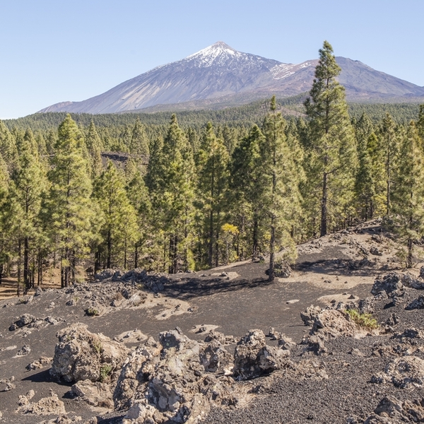 Piękny widok na Park Narodowy pod wulkanem Teide, Teneryfa.