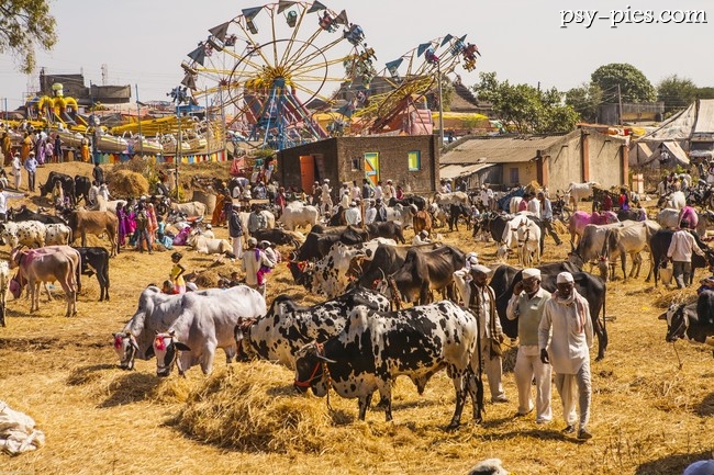Indyjski bazar