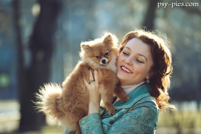Chihuahua na rękach opiekunki
