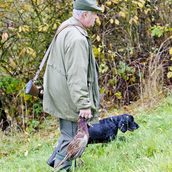 Cocker spaniel angielski jedna z ras psów , należąca do grupy psów aportujących, płochaczy i psów wodnych. Zaklasyfikowa