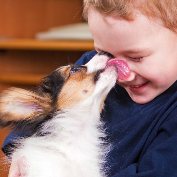 Każdy, kto ma poczucie, że psi ulubieniec darzy go głębokim uczuciem - ma ewidentną rację! Jak wynika z najnowszych bada