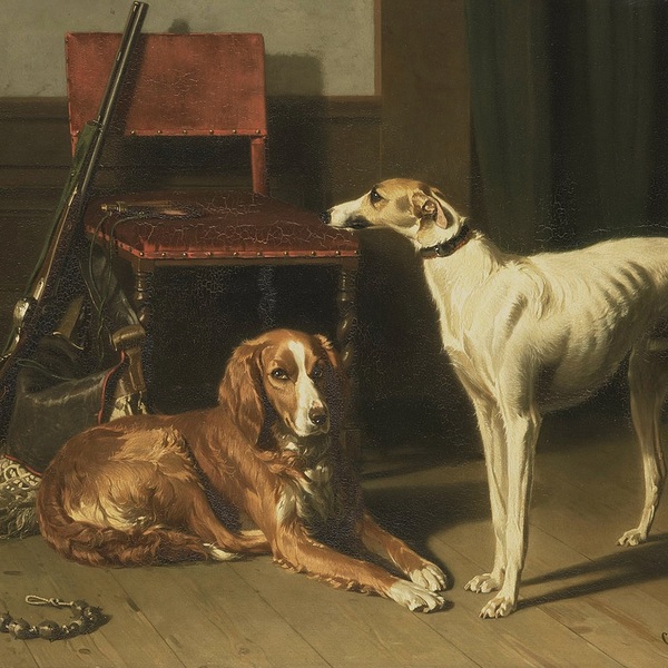 Obraz nieznanego XIX-wiecznego duńskiego artysty p.t. "Hunting Companions" przedstawia dwa psy myśliwskie - w tym charta