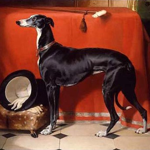 Eos były ulubionym Greyhoundem Sir Edwina Henryego Landseera. Wystarczy spojrzeć na obraz, aby przekonać się, jak wdzięc