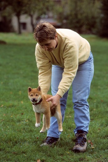 jedna z pięciu prób testu campbella na shiba inu