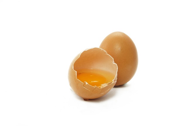 Surowe jajko - naturalny produkt w diecie psa