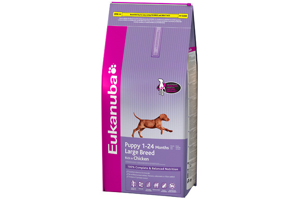 Eukanuba karma dla szczeniąt ras dużych