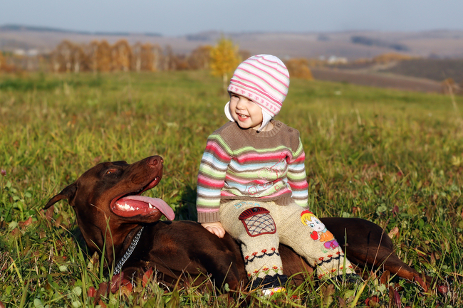 doberman i dziecko czy dobermany mogą być groźne dla dzieci