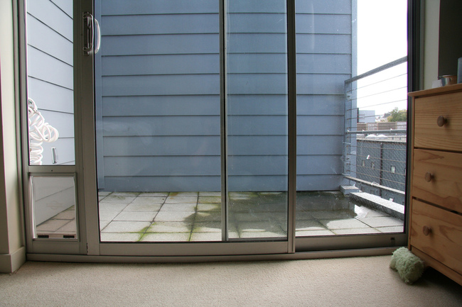Drzwi dla psa wychodzące na balkon